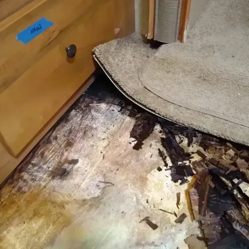 Best Wood Floor Water Damage Service in Rockledge, FL